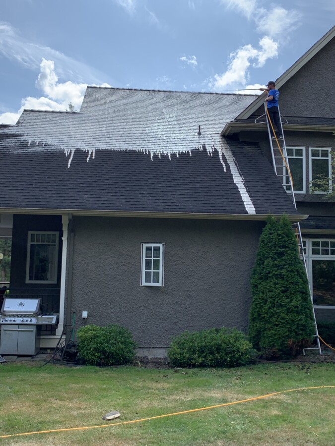 Roof Moss Treatment in Progress