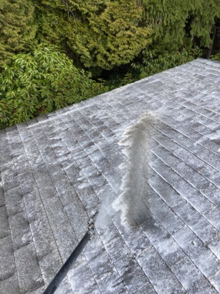 Roof Moss Treatment in Fraser Valley